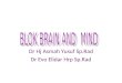 Blok Brain and Mind