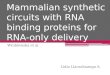 Mammalian Synthetic Circuits With RNA Binding Proteins