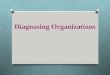 5 - Diagnosing Organizations