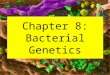 Ch08 Bacterial Genetics