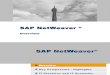 SAP NetWeaver Overview