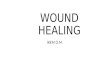 Wound and Wound Healing