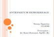 CP Antepartum Hemorrhage - Dr. Roni
