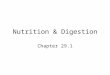 Nutrition and the Digestive system