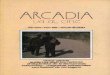Arcadia va al cine- n° 13 (Revista)