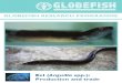 Eel (Anguilla spp.) Production and Trade.pdf