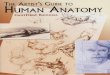 Gottfried Bammes - The Artist's Guide to human anatomy - 2004.pdf