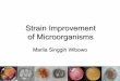 Strain Improvement of microorganisms.pdf