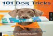 Book 101 Dog Tricks PDF