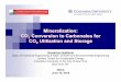 Mineralization: CO2 Conversion to Carbonates for CO2 Utilization and Storage