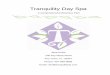 Business Plan Sample Tranquility Day Spa Plan