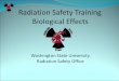 Radiation Safety Training Biological Effects Washington State University Radiation Safety Office