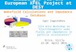 Wakefield Calculations and Impedance Database Challenges for the European XFEL Project at DESY Igor Zagorodnov ICFA mini-Workshop on “Electromagnetic wake