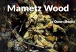 Mametz Wood by Owen Sheers. Today we are learning to … … analyse and interpret the poem Mamtez Wood by Owen Sheers