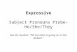 Expressive Subject Pronouns Probe- He/She/They Ask the student, “Tell me what is going on in this picture.”