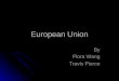 European Union By Flora Wang Travis Pierce. European Union The most integrated economy today The most integrated economy today Founded upon numerous treaties
