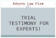Adorno Law Firm, PL Adorno Law Firm TRIAL TESTIMONY FOR EXPERTS!