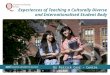 Experiences of Teaching a Culturally Diverse and Internationalised Student Body Dr Patrick Corr – Centre Director