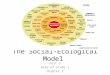 The Social-Ecological Model Unit 3 Area of Study 1 Chapter 2