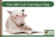 The ABC’s of Training a Dog. Every Day Counts Every moment that you spend with your dog is an opportunity to teach him something (good or bad)