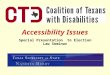 Accessibility Issues Special Presentation to Election Law Seminar