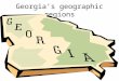 Georgia’s geographic regions. What is a region? Region- an area on Earth’s surface that is defined by certain unifying characteristics. It can also be