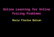 Online Learning for Online Pricing Problems Maria Florina Balcan