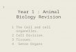Year 1 : Animal Biology Revision 1The Cell and cell organelles. 2Cell Division. 3Tissues. 4 Sense Organs 1