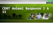 CERT Animal Response I & II. CERT Animal Response I