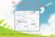 My name is Sky! By Lily Lui 6A CCC But San Primary School