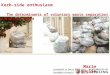 Marie Briguglio Kerb-side enthusiasm The determinants of voluntary waste separation effort in Malta