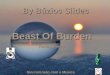 By Búzios Slides Sincronizado com a Música Beast Of Burden Rolling Stones