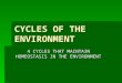 CYCLES OF THE ENVIRONMENT 4 CYCLES THAT MAINTAIN HOMEOSTASIS IN THE ENVIRONMENT