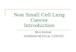 Non Small Cell Lung Cancer Introduction Mira Wollner RAMBAM MEDICAL CENTER