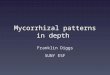 Mycorrhizal patterns in depth Franklin Diggs SUNY ESF