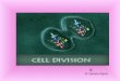 By Dr Samina Anjum. CELL DIVISION Is the process by which a parent cell divides into two or more daughter cells. Cell division is usually a small segment