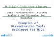 Multiple Indicator Cluster Surveys Data Interpretation, Further Analysis and Dissemination Workshop Examples of Dissemination Tools developed for MICS