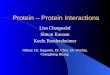 Protein – Protein Interactions Lisa Chargualaf Simon Kanaan Keefe Roedersheimer Others: Dr. Izaguirre, Dr. Chen, Dr. Wuchty, ChengBang Huang