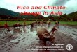 Rice and Climate change in Asia S. Appanah Climate Change Coordinator a.i. FAO Regional Office for Asia and the Pacific