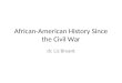 African-American History Since the Civil War dr. Liz Bryant