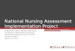 National Nursing Assessment Implementation Project Presentation 2014 National Metropolis Conference: Partnering for Success: Facilitating Integration and