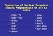 Expression of Nuclear Receptors during Adipogenesis of 3T3-L1 Cells COUP-TFI COUP-TFII PPAR  VDR GCNF ROR  HNF4  LXR  LXR  RXR  Nur77 REV-ERB  REV-ERB