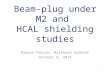 Beam-plug under M2 and HCAL shielding studies Robert Paluch, Burkhard Schmidt October 9, 2014 1