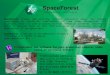SpaceForest is located in the Pomeranian Science & Technology Park (PPNT) in Gdynia () SpaceForest creates and actively explores innovative