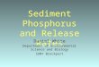 Sediment Phosphorus and Release Rates Daniel White Department of Environmental Science and Biology SUNY Brockport
