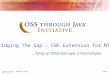 Page 1  Bridging The Gap - CBE Extension for MTNM …Tying up OSS/J and Layer 2 Technologies