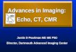 Advances in Imaging: Echo, CT, CMR Justin D Pearlman MD ME PhD Director, Dartmouth Advanced Imaging Center