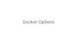 Socket Options. abstraction Introduction getsockopt and setsockopt function socket state Generic socket option IPv4 socket option ICMPv6 socket option