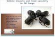 Edible insects and Food security in DR Congo – Papy Nsevolo Miankeba, – Rudy Caparros Megido, – Christophe Blecker, – Sabine Danthine, – Paul Aman, – Eric
