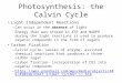 Photosynthesis: the Calvin Cycle Light Independent Reactions – Can occur in the absence of light – Energy that was stored in ATP and NADPH during the light